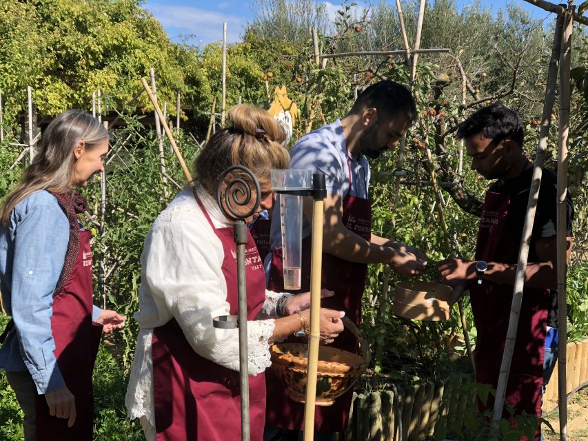 Paciano: Organic Cooking Class at a Farm With Lunch & Wine - Recap