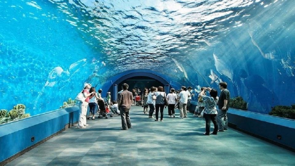 Pattaya: Underwater World Pattaya Aquarium Admission Ticket - Frequently Asked Questions