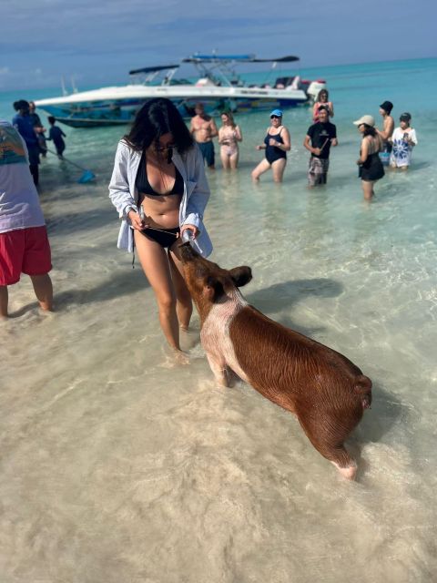 Perfect Day - Swimming Pigs, Snorkel & Beach Club - Frequently Asked Questions