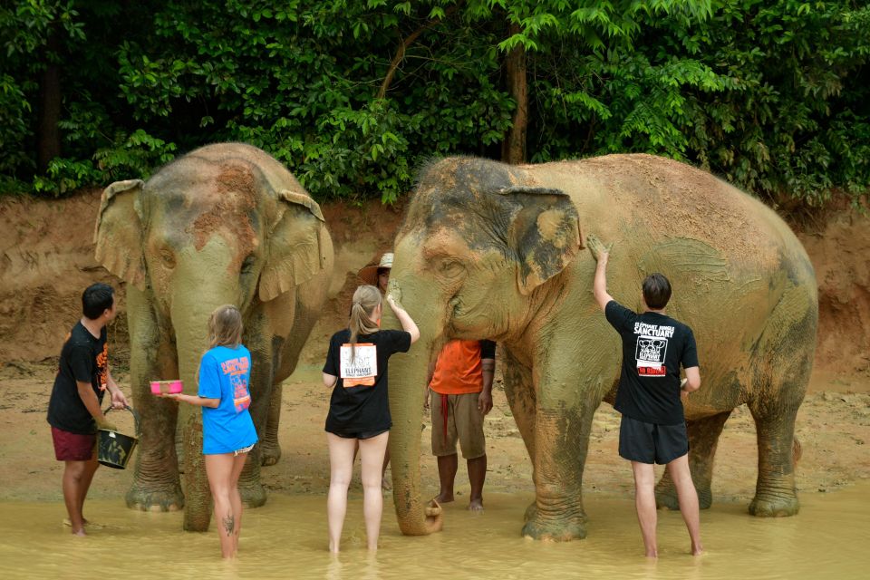 Phuket: Elephant Jungle Sanctuary Half-Day Visit With Meal - Frequently Asked Questions