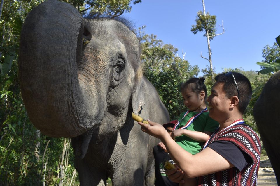 Phuket: Half Day or 2-Hour Ethical Elephant Care Sanctuary - Frequently Asked Questions