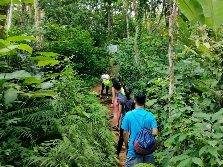 Phuket: Hiking to Sunrise - Frequently Asked Questions