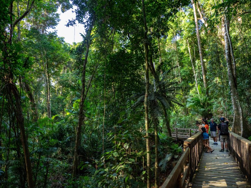 Port Douglas: Daintree Rainforest and Mossman Gorge Tour - Recap
