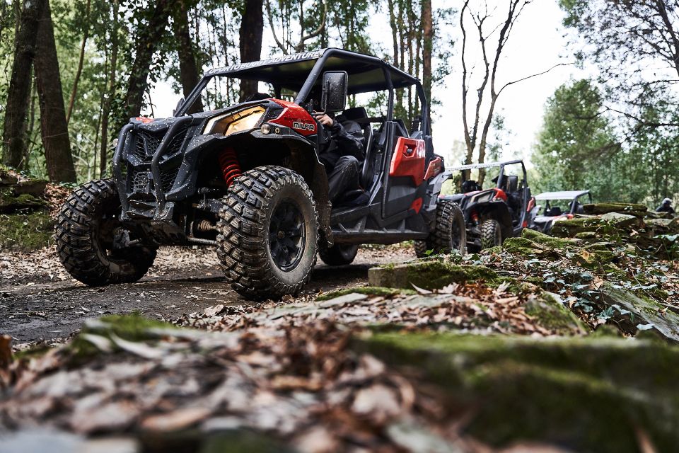 Porto: Extreme Tour by Oporto Buggy - Frequently Asked Questions