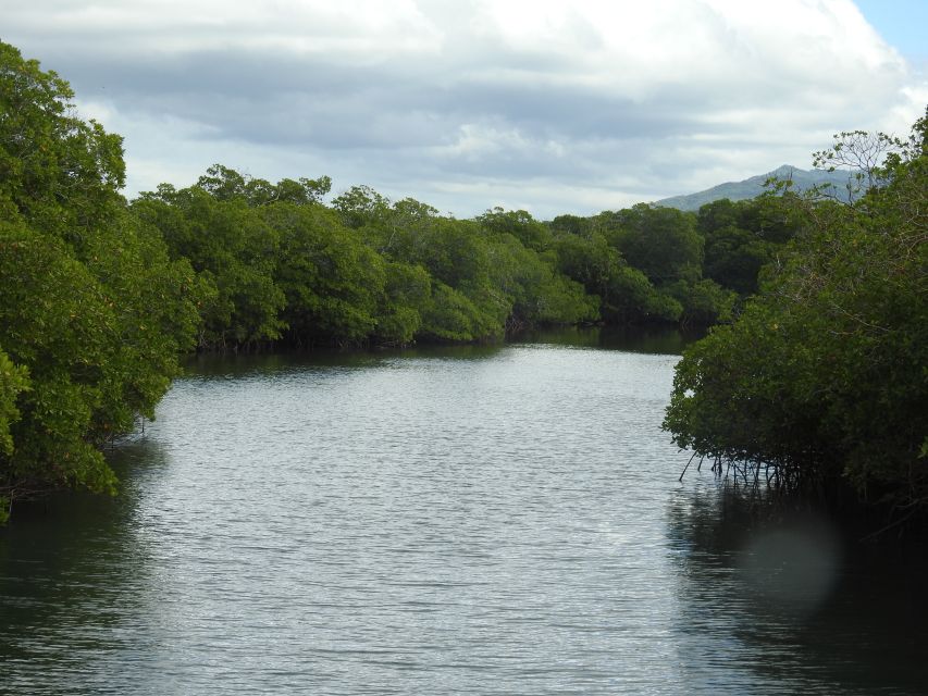 Puerto Plata: Day Trip to Cayo Arena Island by Speedboat - Frequently Asked Questions