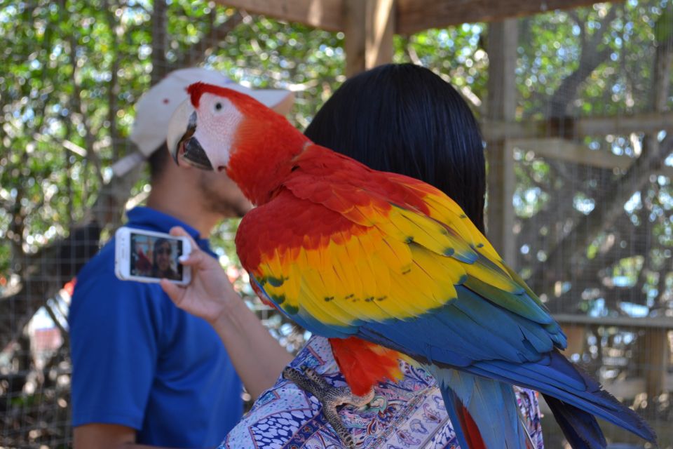 Roatan: Mangrove Tunnel Tour With Snorkeling - Frequently Asked Questions