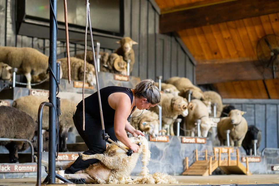 Rotorua: Agrodome Farm Tour With Show and Produce Tasting - Frequently Asked Questions