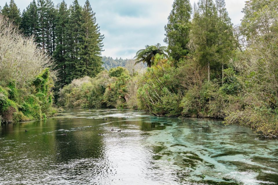 Rotorua: Explore The Lakes Half-Day Morning Tour - Frequently Asked Questions