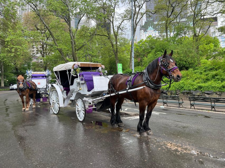 Royal Carriage Ride in Central Park NYC - Frequently Asked Questions