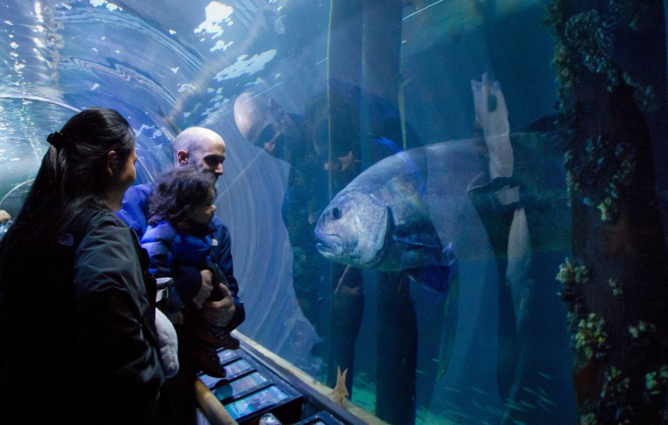 San Francisco: Aquarium of the Bay General Admission Ticket - Frequently Asked Questions