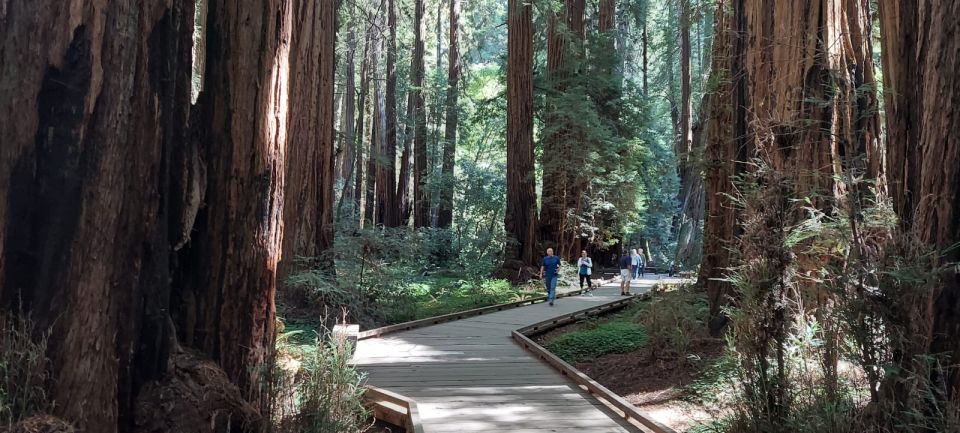 San Francisco: Muir Woods and Sausalito Small Group Tour - Frequently Asked Questions