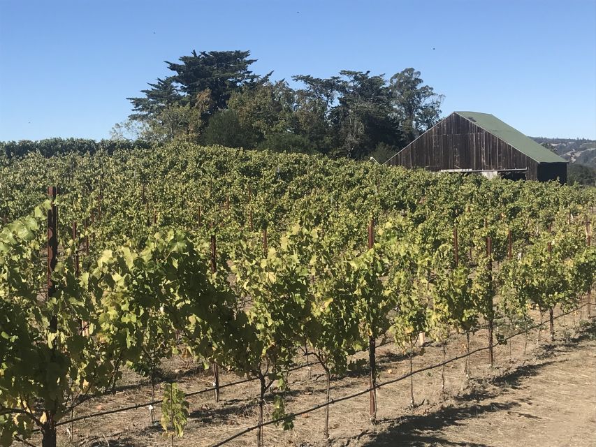 San Francisco: Small-Group Sonoma Wine Tour With Tastings - Inclusions and Exclusions