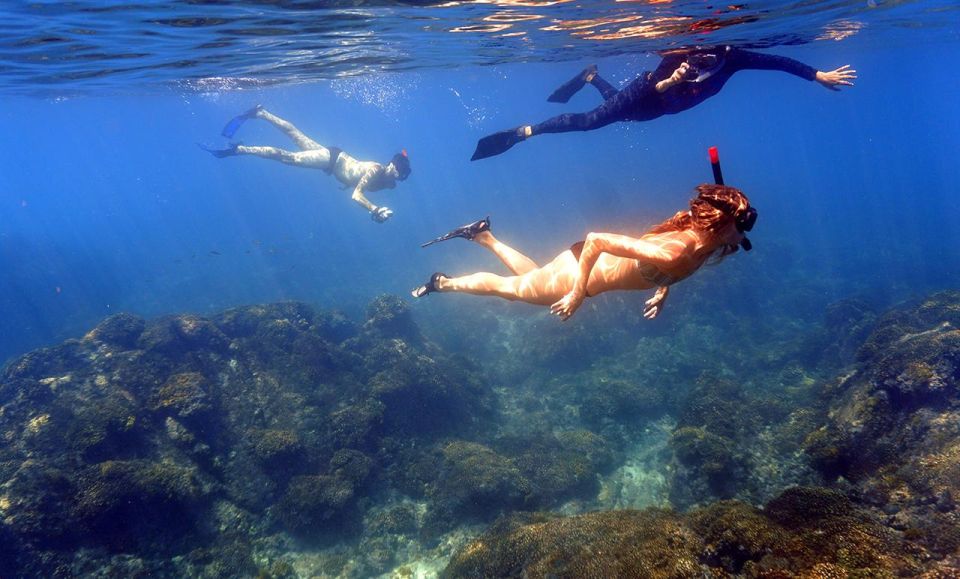 San Jose Del Cabo Private Snorkeling Tour - Frequently Asked Questions