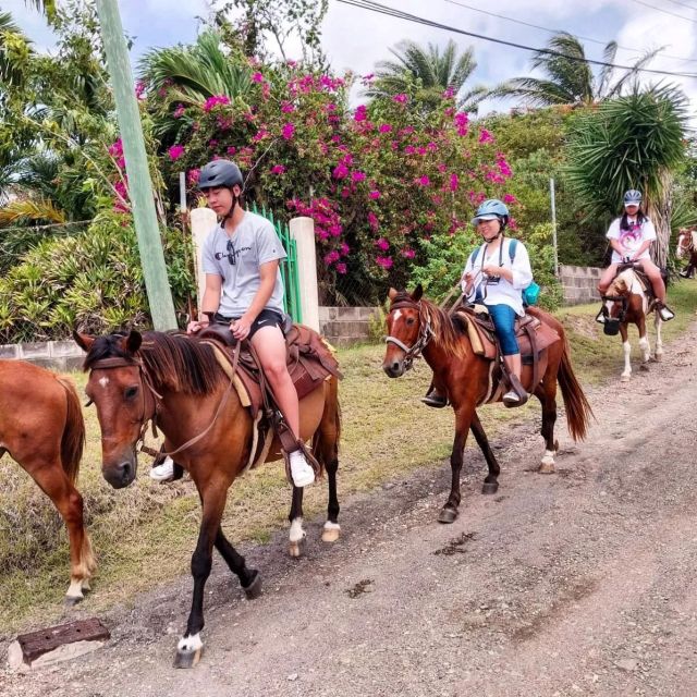 Scenic Horseback Trail - Frequently Asked Questions