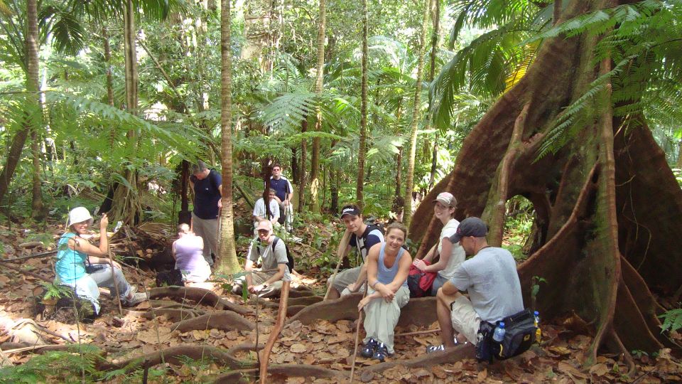 Scenic Rainforest Hike - Meeting Point and Instructions