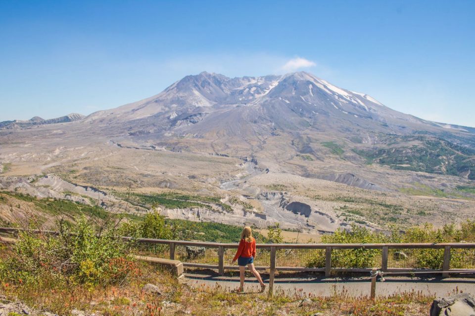 Seattle: Mt. St. Helens National Monument Small Group Tour - Wildlife Viewing at Nisqually