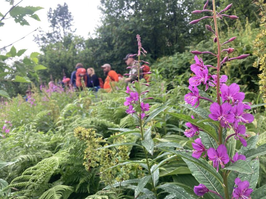 Seward: Guided Wilderness Hike With Transfer - Recap