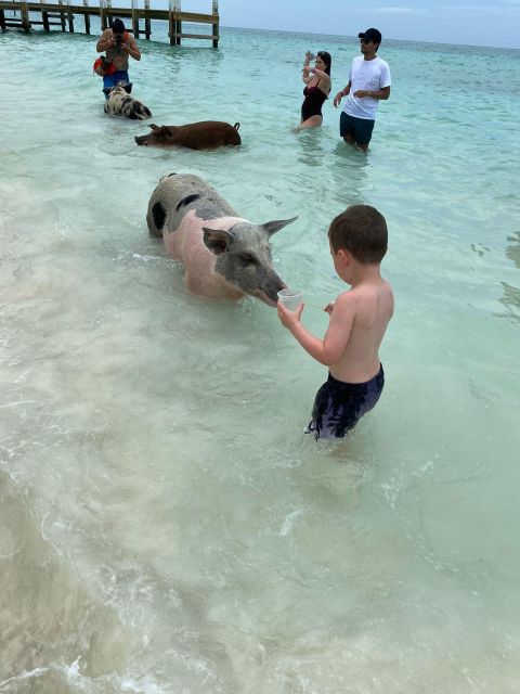 Swimming Pigs Safari 2hrs - Frequently Asked Questions