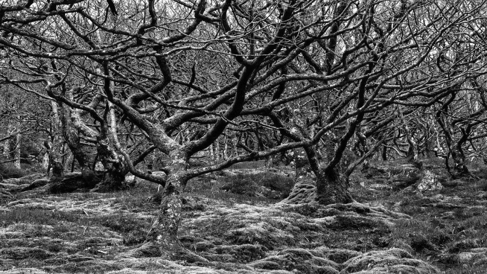 Te Anau: Natural Landmarks & Lord of the Rings Location Tour - Frequently Asked Questions