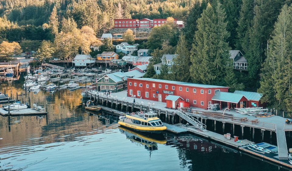 Telegraph Cove: 3-Hour Whale Watching Tour in a Zodiac Boat - Frequently Asked Questions