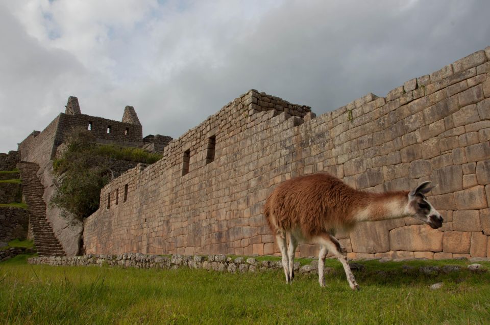 Tour Machu Picchu + Sacred Valley | Textile Experience | - Frequently Asked Questions