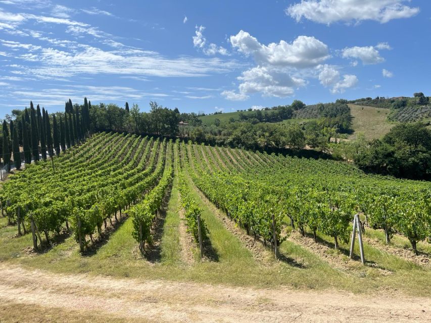 TUSCANY: WINE TASTING IN THE HEART OF CHIANTI CLASSICO - Lunch and Scenic Views