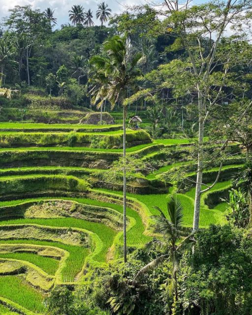 Ubud Full Day Tour Packages - 2 Days Adventure - Frequently Asked Questions