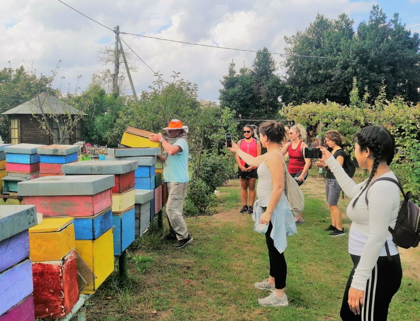 Venice: Bike Tour Honey & Artichokes on Sant'Erasmo Island - Key Highlights