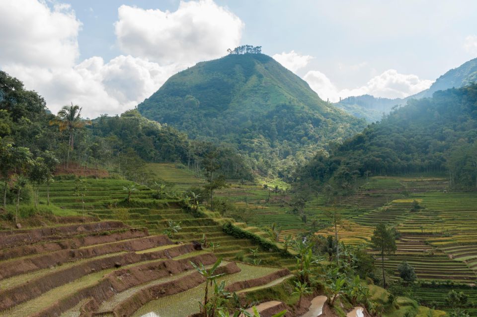 Yogyakarta: Selogriyo, Marvel Amidst Java's Lush Terraces - Frequently Asked Questions