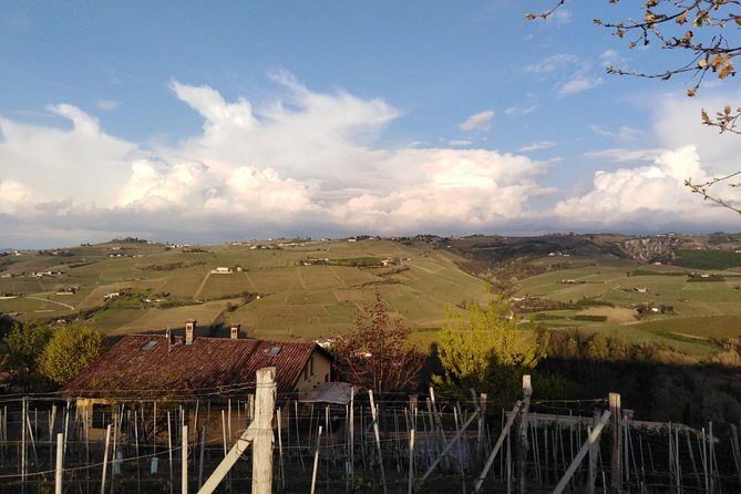 Abellonio Cascina Piccaluga - A Visit to the Vineyards, to the Wine Tasting Cellar - Key Points