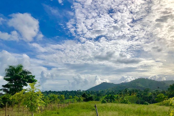 Adventure Bundle: Monkeyland, Ziplines & Buggies Punta Cana - Inclusions and Requirements