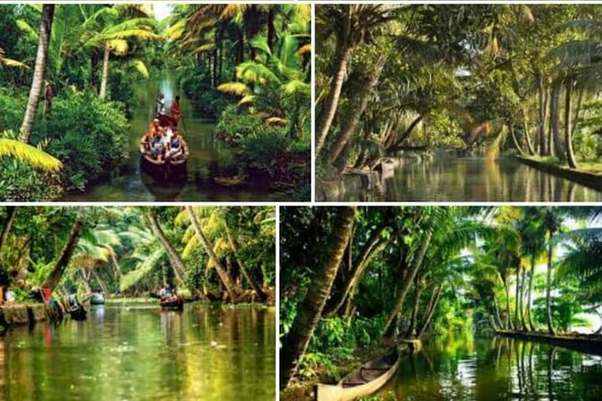 Alasr Lakeview Cruise / Hourly Trips to the Backwaters of Alleppey - Key Points