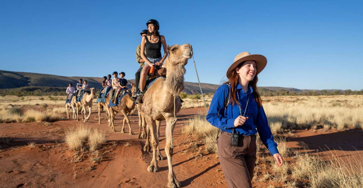 Alice Springs: Guided Outback Camel Ride - Key Points