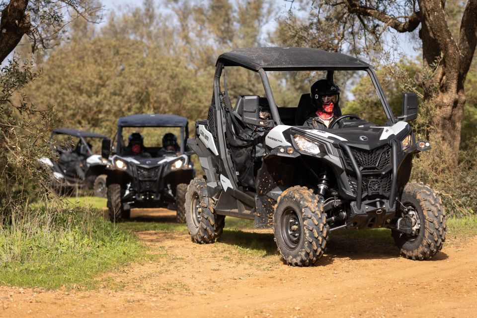 Almancil: Algarve Guided Off-Road Buggy Adventure - Key Points