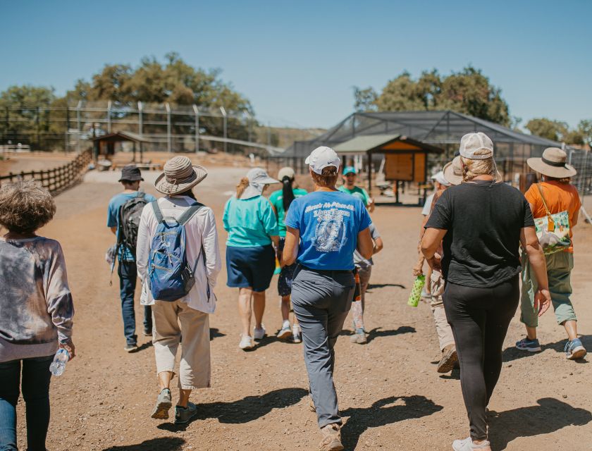 Alpine: Lions Tigers & Bears Sanctuary Visit and Feeding - Key Points