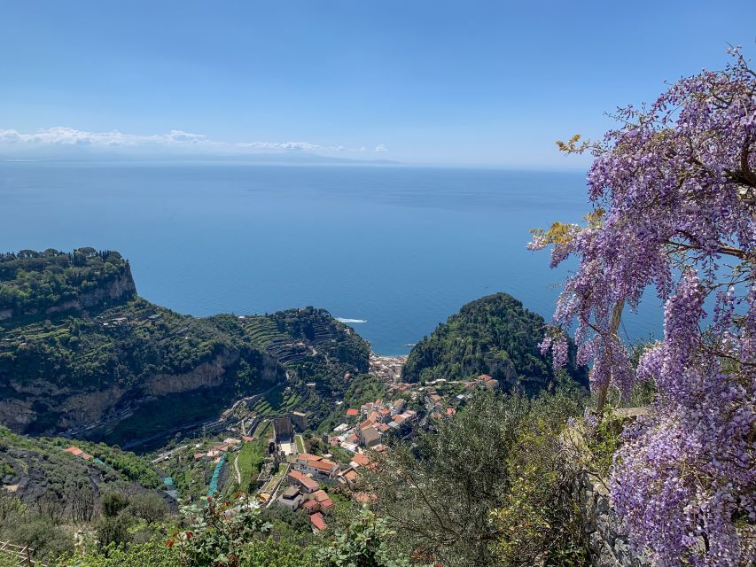 Amalfi Coast Path of the Lemon Private Walking Tour - Key Points