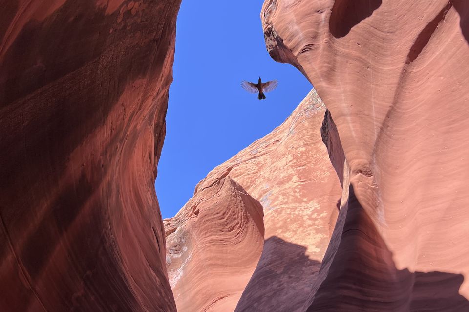 Antelope Canyon: Rattlesnake Canyon Tour - Key Points