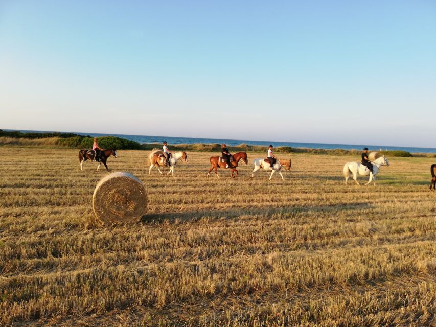 Apulia: Horseback Riding Trip in Parco Dune Costiere - Key Points