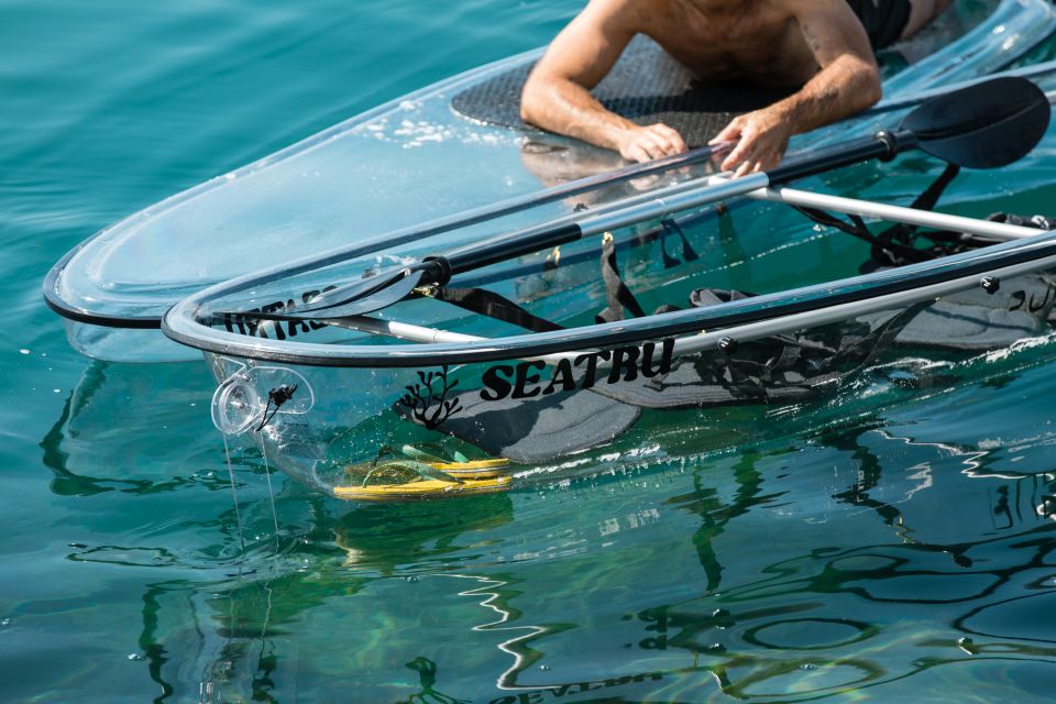 Arrábida: Guided Transparent Kayaking Tour - Key Points