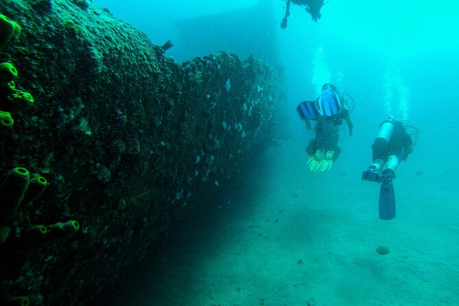 Aruba 2-Tank Dive Excursion for Certified Divers - Overview of the Dive Excursion