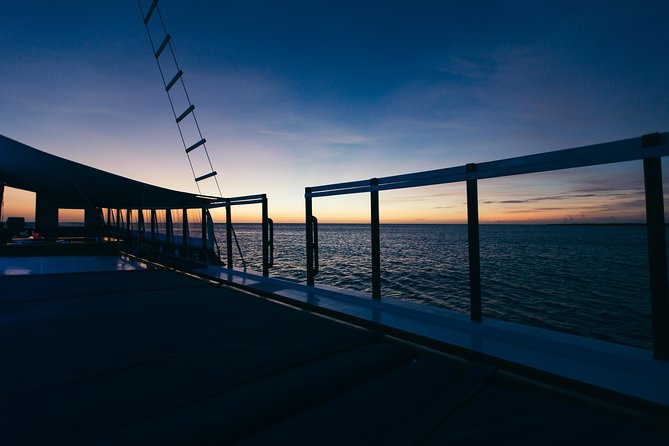 Aruba: Four-Course Caribbean Dinner Cruise Experience - Overview of the Cruise