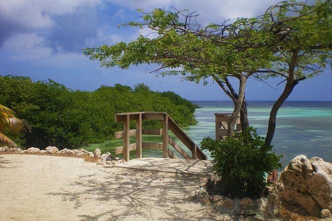 Aruba Mangel Halto and Baby Beach Snorkeling Guided Tour - Tour Overview