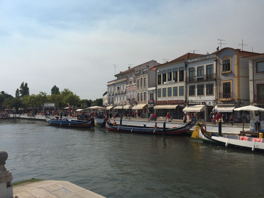 Aveiro and Coimbra Private Tour - Key Points