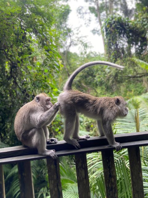 Bali Best of Ubud Surrounding Tour With Barong & Keris Dance - Key Points