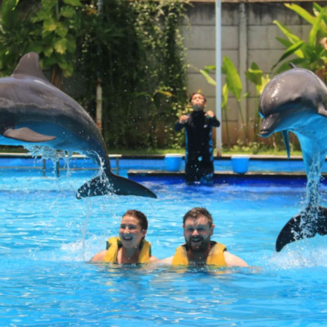 Bali : Full Day Bali Dolphin Tour - Key Points