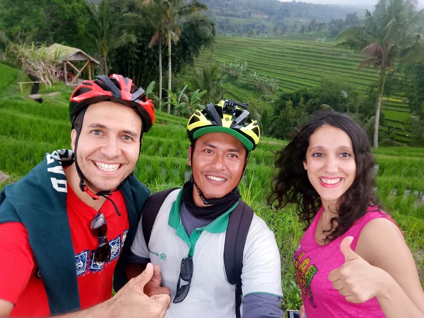 Bali: Jatiluwih Rice Terraces 1 Hour Electric Bike Tour - Key Points