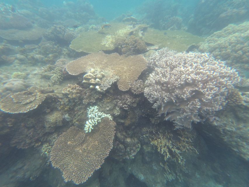 Bali: Labuan Amuk Snorkeling With Lunchbox - Key Points