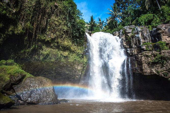 Bali Swing Gunung Kawi Temple And Waterfall Private Guided Tour - Key Points