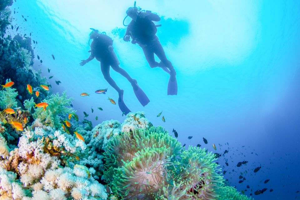 Bali: Tulamben Bay Beginners Dive Experience - Key Points