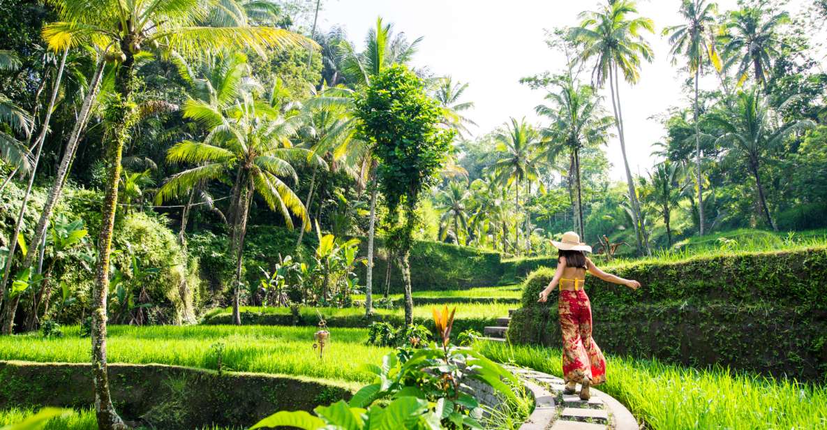 Bali: Ubud Adventure: Rice Terraces, Monkey Forest & Falls - Key Points